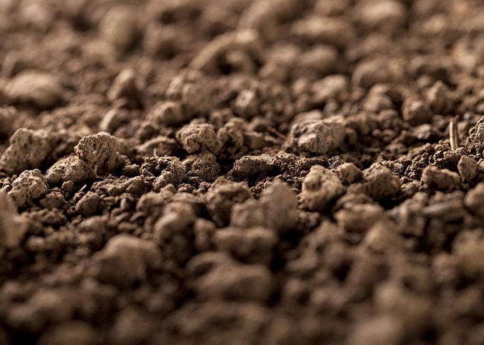 土壤消毒技术破解百合连作障碍难题